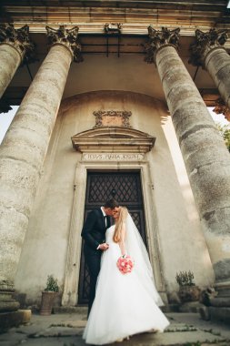 Güzel, romantik bir düğün. Yeni evliler. Eski kalenin yakınlarında sarılıyorlar.