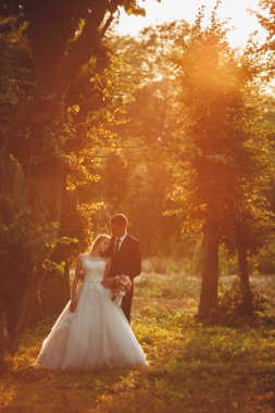 Güzel romantik bir çift yeni evliler gün batımında parkta sarılıyorlar.