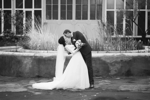 Pareja feliz boda caminando en un parque botánico —  Fotos de Stock