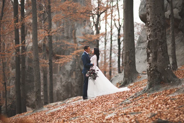 华丽的婚礼情侣接吻和拥抱在森林里的大石头 — 图库照片