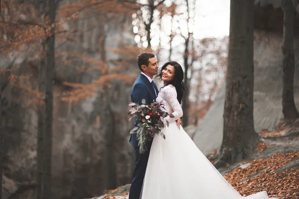 Splendido matrimonio coppia baci e abbracci nella foresta con grandi rocce — Foto Stock