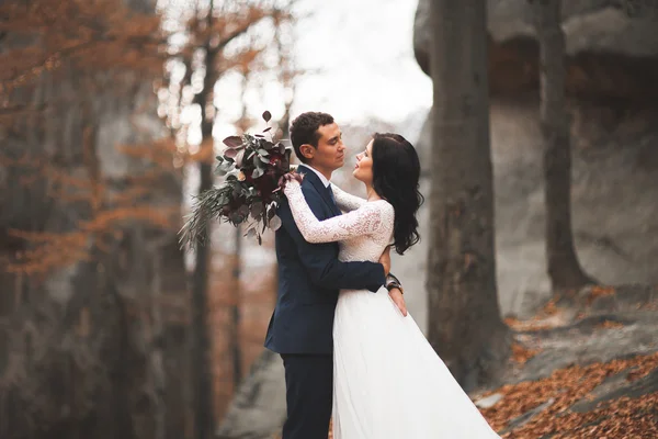 Lindo casamento casal beijos e abraços na floresta com grandes pedras — Fotografia de Stock