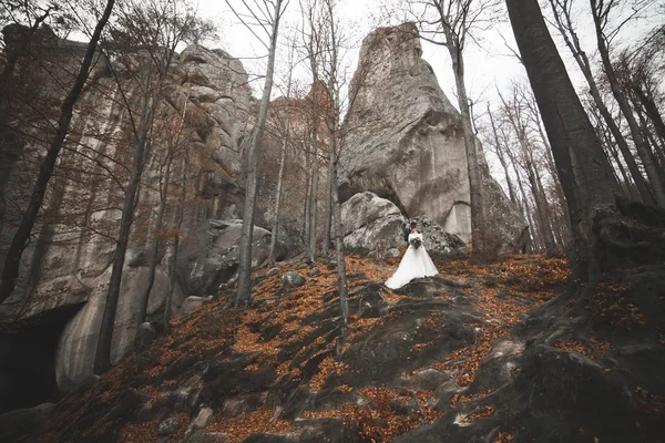 Hermosa pareja de boda besándose y abrazándose en el bosque con grandes rocas — Foto de Stock