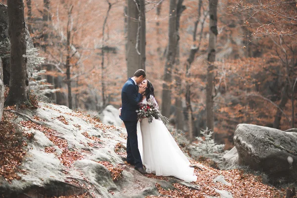 Muhteşem düğün çift öpüşme ve orman büyük kayalar ile sarılma — Stok fotoğraf