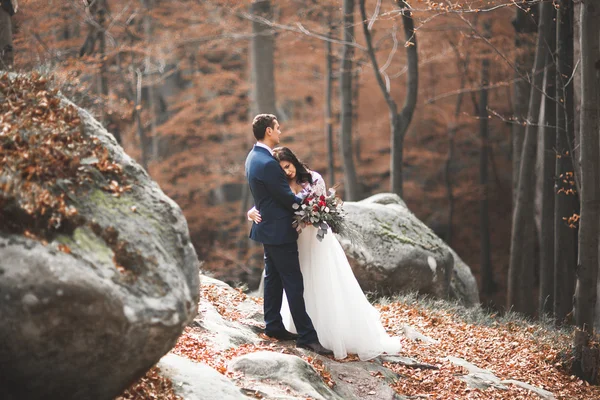 Gorgeous wedding couple kissing and hugging in forest with big rocks — Stock Photo, Image