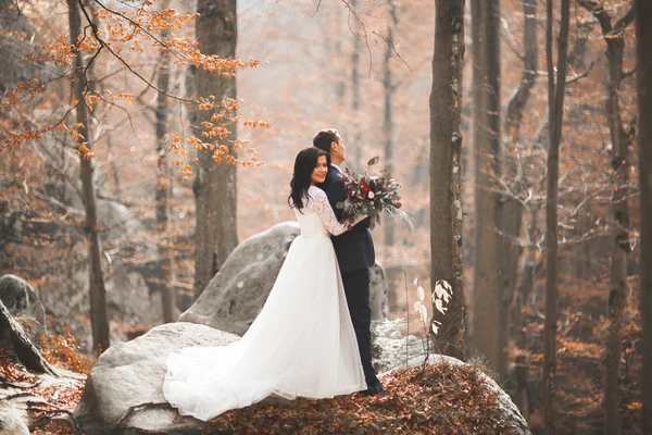 Superbe couple de mariage embrasser et embrasser dans la forêt avec de gros rochers — Photo