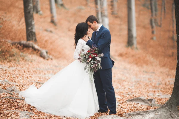 Hermosa pareja de boda besándose y abrazándose en el bosque con grandes rocas —  Fotos de Stock