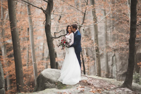 Gorgeous wedding couple kissing and hugging in forest with big rocks — Stock Photo, Image