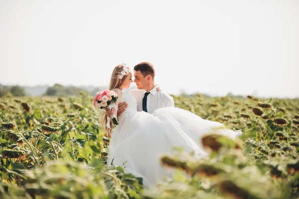 Pareja de boda besándose y posando en un campo de girasoles —  Fotos de Stock