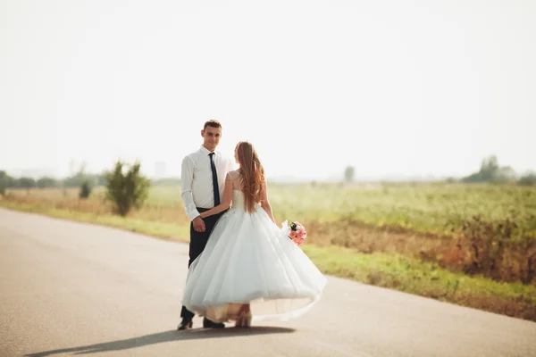 Красива весільна пара, наречена і наречена позують на дорозі — стокове фото