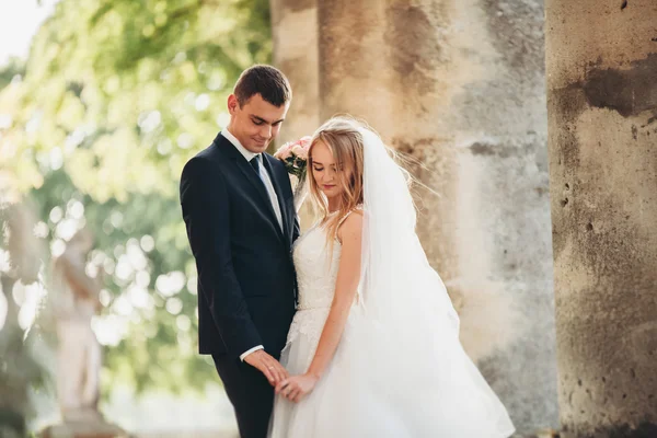 Beau couple de mariage romantique de jeunes mariés étreignant près du vieux château — Photo