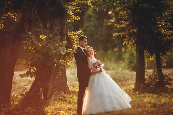 Hermosa pareja romántica de recién casados abrazándose en el parque en la puesta del sol —  Fotos de Stock