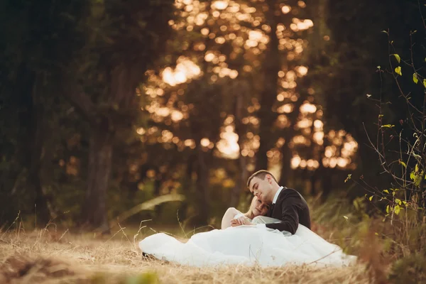 Casal romântico bonito casal de recém-casados abraçando no parque no pôr do sol — Fotografia de Stock