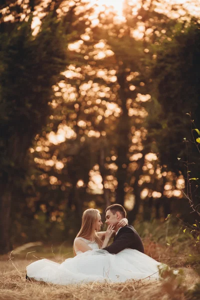 Schönes romantisches Hochzeitspaar, das sich im Park bei Sonnenuntergang umarmt — Stockfoto
