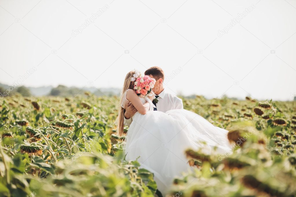 Wedding couple kissing and posing in a field of sunflowers