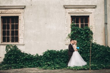 Lüks Çift düğün sarılma ve birbirlerine arka plan güzel bitkiler kale üzerinde gülümseyen