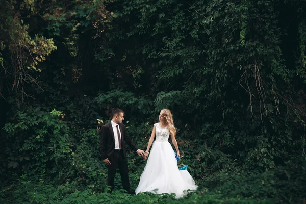 Pareja de boda de lujo abrazos y besos en el fondo hermosas plantas, cueva cerca del antiguo castillo —  Fotos de Stock