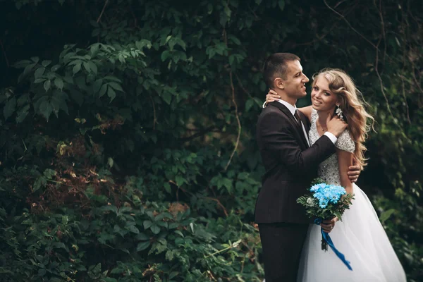 Sarılma ve öpüşme arka plan güzel bitkiler üzerinde lüks Düğün çifti mağara antik kale