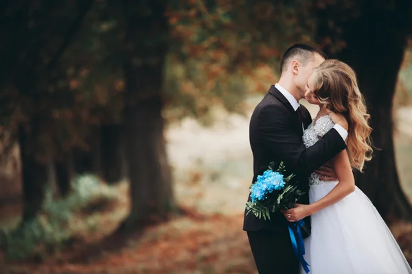 Incrível feliz suave elegante lindo casal romântico caucasiano andando parque de outono — Fotografia de Stock