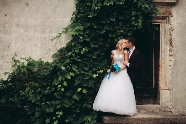 Feliz boda pareja abrazándose y sonriendo el uno al otro en el fondo hermosas plantas en el castillo —  Fotos de Stock