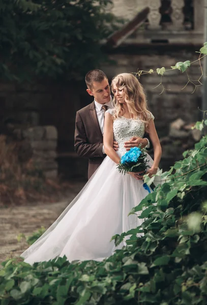 高級結婚式カップル ハグと城の背景の豪華な植物をお互いに笑みを浮かべて — ストック写真