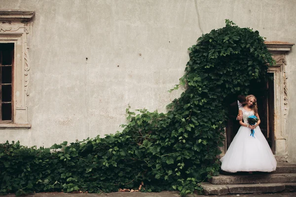 Feliz boda pareja abrazándose y sonriendo el uno al otro en el fondo hermosas plantas en el castillo — Foto de Stock