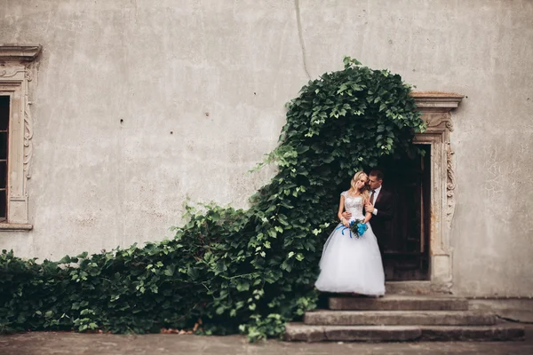 Feliz boda pareja abrazándose y sonriendo el uno al otro en el fondo hermosas plantas en el castillo —  Fotos de Stock