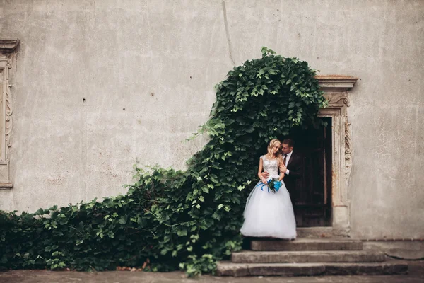 Verheugd huwelijksfeest paar knuffelen en glimlachen elkaar op de achtergrond prachtige planten in kasteel — Stockfoto