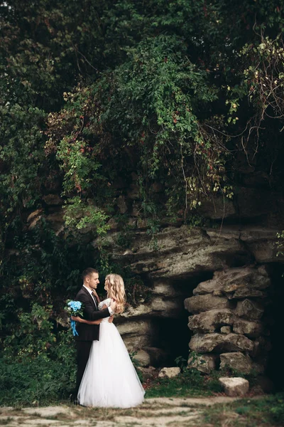 Pareja de boda de lujo abrazos y besos en el fondo hermosas plantas, cueva cerca del antiguo castillo —  Fotos de Stock