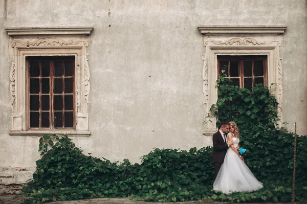 Pareja de bodas de lujo abrazándose y sonriendo en el fondo hermosas plantas en el castillo — Foto de Stock