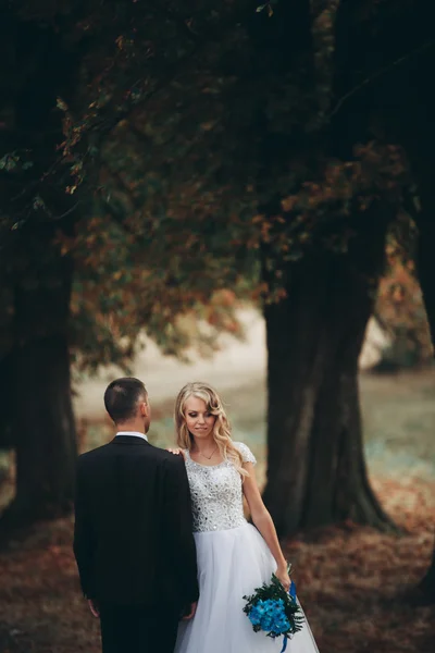 Incredibile felice gentile elegante bella coppia romantica caucasica a piedi autunno parco — Foto Stock