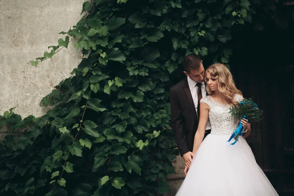 Feliz boda pareja abrazándose y sonriendo el uno al otro en el fondo hermosas plantas en el castillo —  Fotos de Stock