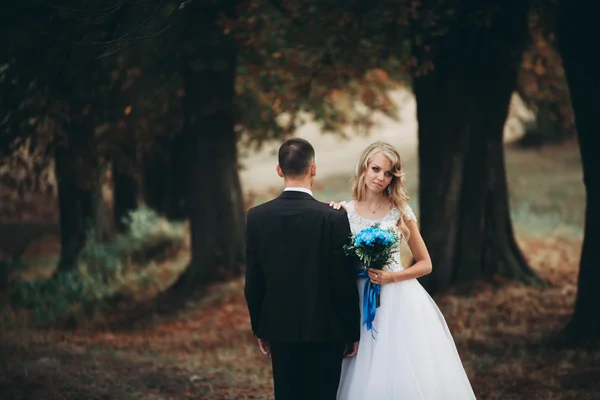 Amazing happy gentle stylish beautiful romantic caucasian couple walking autumn park — Stock Photo, Image