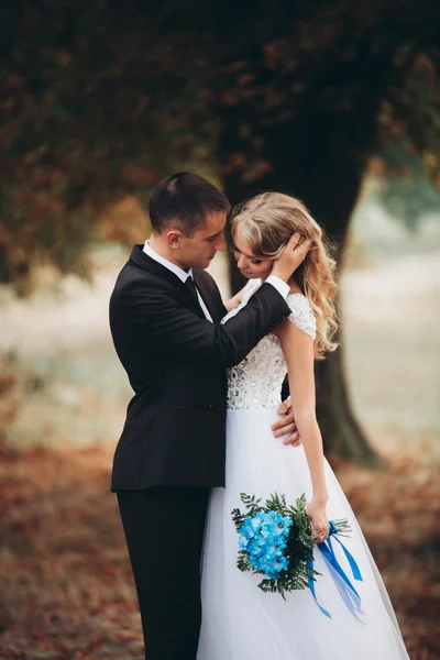 Incroyable heureux doux élégant beau couple romantique caucasien marche parc d'automne — Photo