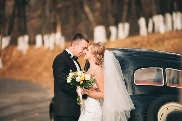 Elegante coppia di nozze, sposa, sposo baciare e abbracciare vicino auto retrò in autunno — Foto Stock