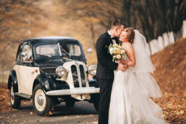 Şık düğün çift, Gelin, damat öpüşme ve retro arabanın yakınında sonbaharda sarılma