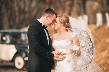 Şık düğün çift, Gelin, damat öpüşme ve retro arabanın yakınında sonbaharda sarılma