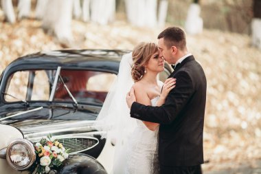 Şık düğün çift, Gelin, damat öpüşme ve retro arabanın yakınında sonbaharda sarılma