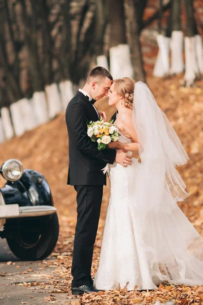 Stylish wedding couple, bride, groom kissing and hugging near retro car in autumn — Stock Photo, Image