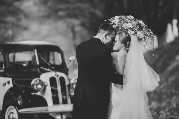 Şık düğün çift, Gelin, damat öpüşme ve retro arabanın yakınında sonbaharda sarılma — Stok fotoğraf