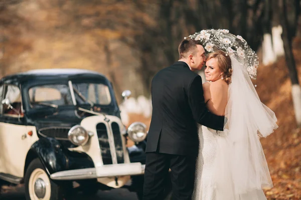 Stilvolles Hochzeitspaar, Braut, Bräutigam küssen und umarmen sich im Herbst in der Nähe von Retro-Autos — Stockfoto