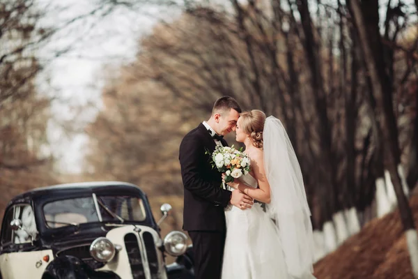Elegante pareja de boda, novia, novio besándose y abrazándose cerca de coche retro en otoño — Foto de Stock