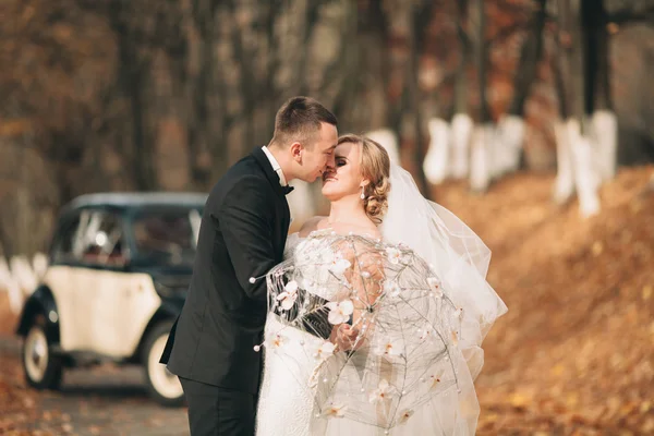 Casal de casamento elegante, noiva, noivo beijando e abraçando perto de carro retro no outono — Fotografia de Stock