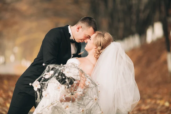 Elegante pareja de boda, novia, novio besándose y abrazándose cerca de coche retro en otoño — Foto de Stock