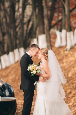 Şık düğün çift, Gelin, damat öpüşme ve retro arabanın yakınında sonbaharda sarılma