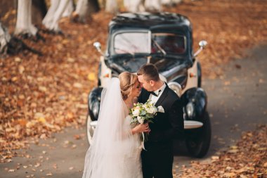 Şık düğün çift, Gelin, damat öpüşme ve retro arabanın yakınında sonbaharda sarılma