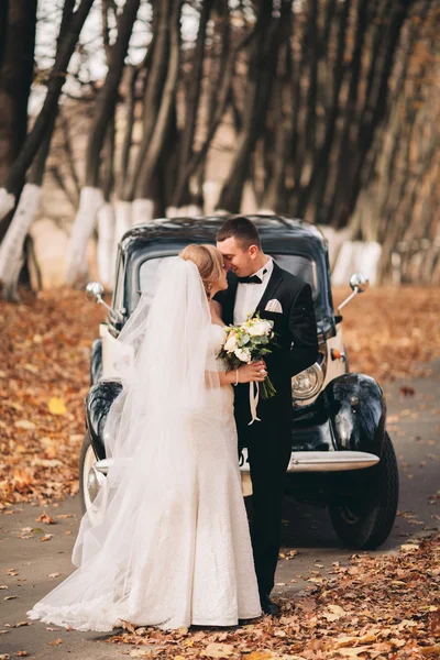 Şık düğün çift, Gelin, damat öpüşme ve retro arabanın yakınında sonbaharda sarılma — Stok fotoğraf
