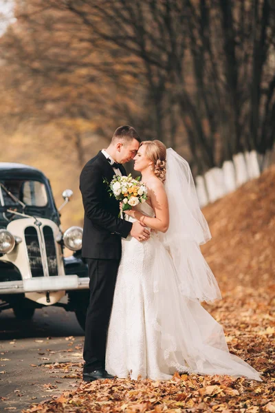 Casal de casamento elegante, noiva, noivo beijando e abraçando perto de carro retro no outono — Fotografia de Stock