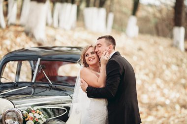 Şık düğün çift, Gelin, damat öpüşme ve retro arabanın yakınında sonbaharda sarılma