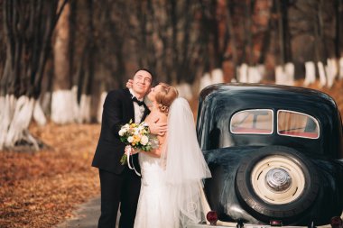 Şık düğün çift, Gelin, damat öpüşme ve retro arabanın yakınında sonbaharda sarılma